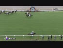 [エイシンヒカリの再来] 2020年7月25日 新潟5R 2歳新馬 リフレイム