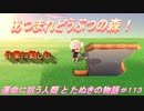 【あつ森】前人未島へようこそ！#113【あつまれどうぶつの森】
