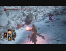 ほのぼの？攻略 20