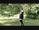 【Starry】Hand in Hand 【踊ってみた】