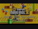 【RTA旧日本記録】Newスーパーマリオブラザーズ2 Any％ 26:14.667