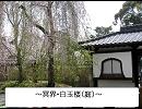 東方星戦争　第12話　庭師と騎士