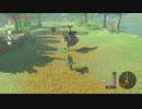 ゼルダの伝説ブレスオブザワイルドゴロン編から実況プレイPart5