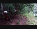 (普通に山歩き回)変態忍者の、有害鳥獣駆除従事活動記・その１１７