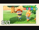 【実況】みんなあつまれ どうぶつの森 #57