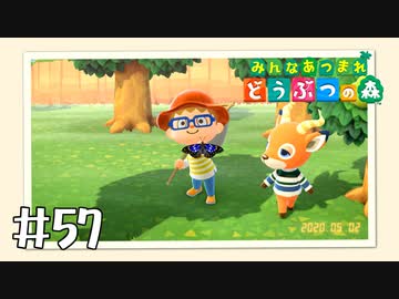 【実況】みんなあつまれ どうぶつの森 #57