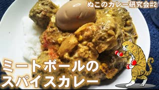 【貧ぼっち飯】孤独なアラフォー独女がつくるミートボールカレー