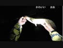 07.25 【魚釣り】雨の土手を歩く大男