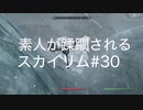 【素人が蹂躙されるスカイリム】実況プレイ_part30