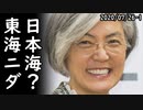韓国が東海と日本海を併記しなければならない論理的根拠は2つあると断言、一方、日本は戦犯国というレッテルを永遠に剥す事ができないと韓国が申しておりｗ2020/07/26-1