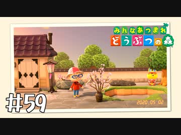 【実況】みんなあつまれ どうぶつの森 #59