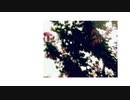 【初音ミク】からかう夏【オリジナル曲】