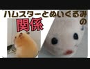 ハムスターとぬいぐるみ