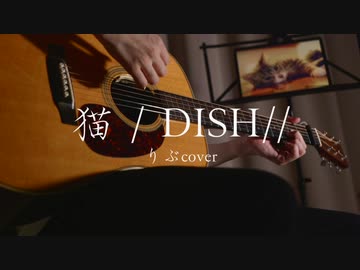 猫／DISH//（りぶcover）