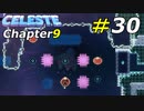 クリア手順から難解過ぎるカラーブロックエリア[Celeste]#30