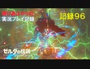 【寄り道ばかりの】ゼルダの伝説BotW【実況プレイ記録96】ヴァ・ナボリス奪還　中編