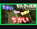 【ゼルダの伝説BotW】バクダンで大体のことは解決する大冒険 part30【実況】