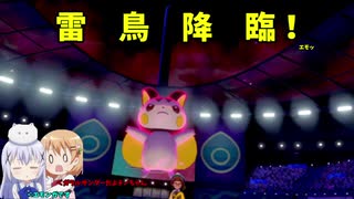 【ポケモン剣盾】ご注文はガラルに舞い降りし雷鳥ですか？エモ！【エモンガ】