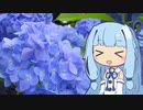 【琴葉葵車載】曇り空と紫陽花と