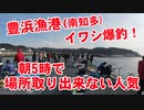 【豊浜漁港】あの噂のイワシが爆釣な漁港に釣りに行ってきました！イワシの大群襲来！朝5時で場所取り出来ず！