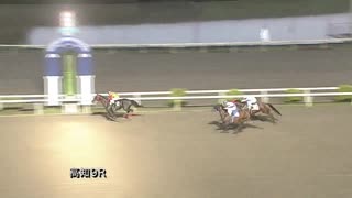 2020年7月26日高知競馬9R （株）ベイリーフ協賛 ベイリーフ十周年特別(C1-2組) ブルーリップグロス