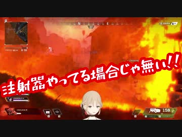 シスター・クレア、初めてのAPEX
