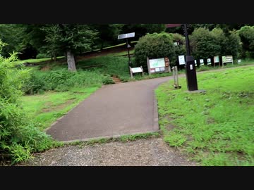 埼玉県出ないでぎりぎり東京都登山　八国山