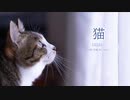 『 猫 - DISH//  』 歌ってみたです。【瑠乃*。】