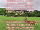 風に聞け200724　Catch_Up