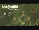 【ゼルダの伝説ブレスオブザワイルド＃12】父親の目の前で幼女を追い回す自称勇者【はるの積みゲー崩し】