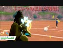 あのポケモンの正体とは…