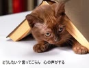 【歌ってみた】君の知らない物語　～supercell～.mpeg4.aac