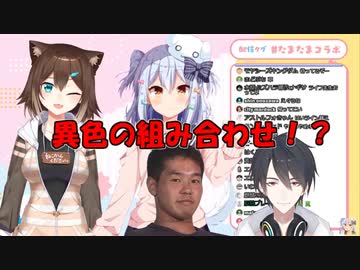 犬山たまきとのコラボで暴れまくる野良猫・文野環【にじさんじ切り抜き】