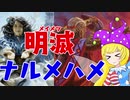 【MTGアリーナ】明滅ナルメハメ