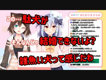 【切り抜き】野良猫の犬山たまきへのぶっこみ発言集