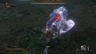 SEKIRO:SHADOWS DIE TWICE(隻狼)初見実況part30