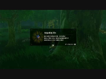 【ゼルダの伝説BotW】最終剣に憧れてBotW part22【初見実況】