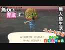 村をとびだせどうぶつの森！初めての無人島生活へ～無人島育成計画～二十七日目
