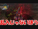 イビルジョー正式試合【MH3G.HDver】