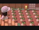 たのしめどうぶつの森【ｼﾞｯｷｮｳ】 Part31