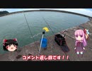 琴葉姉妹と行く釣行記録（海釣り編part10）