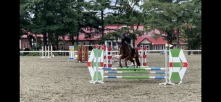 北海道夏季馬術大会　100cm フレンドシップ競技