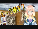 アメリカで中国から謎の種子が送られて来る事件が多発！【世界の〇〇にゅーす】