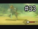 世界を冒険するべく「ゼルダの伝説 ブレスオブザワイルド」実況　part33
