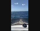 Boats for Sale| Used Fishing Boats for Sale | Harbor Shoppers