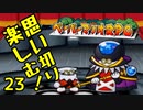 【実況】思い切り楽しむ！【ペーパーマリオRPG】Part23