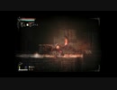 【実況】へっぽこアベル無謀にもあの呪われた島へ（Salt and Sanctuary）37