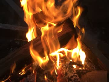 焚き火と虫の音