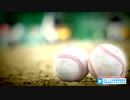 ２０２０年夏季東西東京都高校野球大会