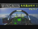 Project Wingman （アルファ）で飛ぶだけ　１